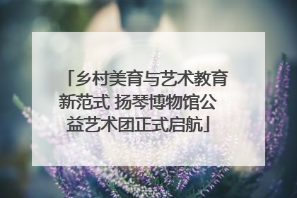 乡村美育与艺术教育新范式 扬琴博物馆公益艺术团正式启航