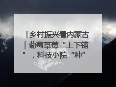 乡村振兴看内蒙古｜葡萄草莓“上下铺”，科技小院“种”出三倍效益