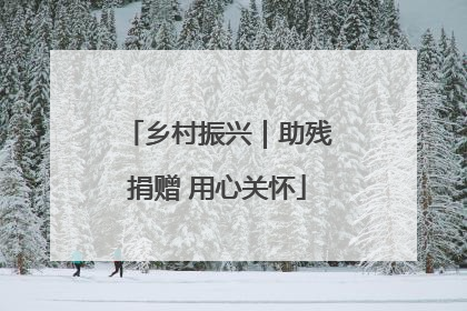 乡村振兴｜助残捐赠 用心关怀