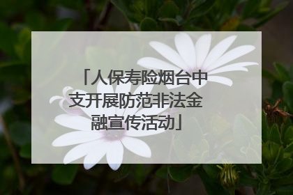 人保寿险烟台中支开展防范非法金融宣传活动