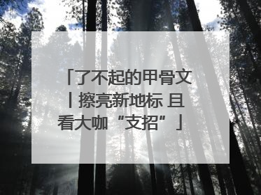 了不起的甲骨文丨擦亮新地标 且看大咖“支招”