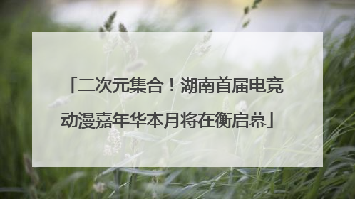 二次元集合！湖南首届电竞动漫嘉年华本月将在衡启幕