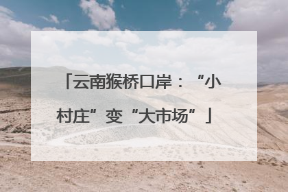 云南猴桥口岸：“小村庄”变“大市场”
