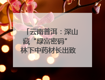 云南普洱：深山藏“绿富密码” 林下中药材长出致富新图景