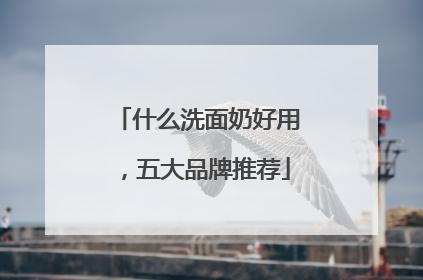 什么洗面奶好用，五大品牌推荐