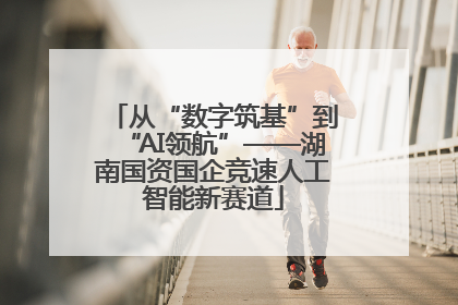 从“数字筑基”到“AI领航”——湖南国资国企竞速人工智能新赛道