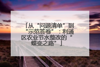 从“问题清单”到“示范答卷”：利通区农业节水整改的“蝶变之路”