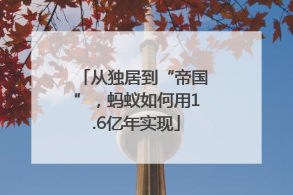 从独居到“帝国”，蚂蚁如何用1.6亿年实现