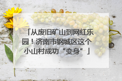 从废旧矿山到网红乐园！济南市钢城区这个小山村成功“变身”
