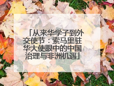 从来华学子到外交使节：索马里驻华大使眼中的中国治理与非洲机遇