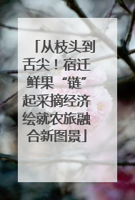 从枝头到舌尖！宿迁鲜果“链”起采摘经济绘就农旅融合新图景