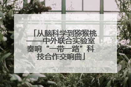 从脑科学到猕猴桃——中外联合实验室奏响“一带一路”科技合作交响曲