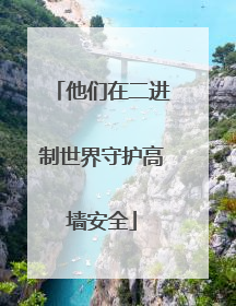 他们在二进制世界守护高墙安全