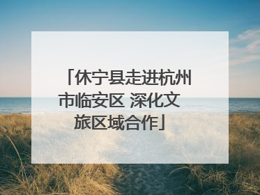 休宁县走进杭州市临安区 深化文旅区域合作
