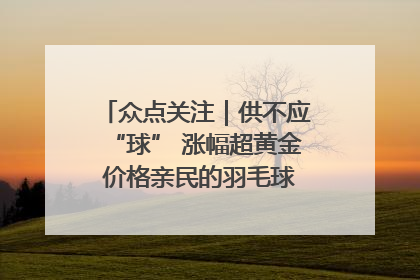 众点关注｜供不应“球” 涨幅超黄金 价格亲民的羽毛球为何身价飞涨？