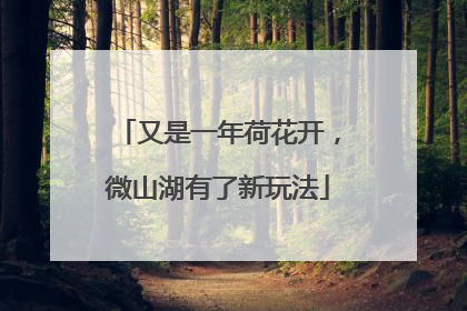 又是一年荷花开，微山湖有了新玩法