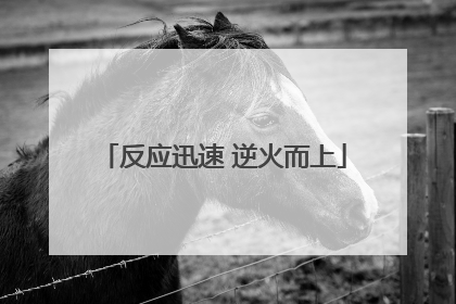 反应迅速 逆火而上