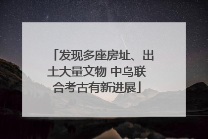 发现多座房址、出土大量文物 中乌联合考古有新进展