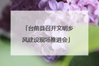 台前县召开文明乡风建设现场推进会