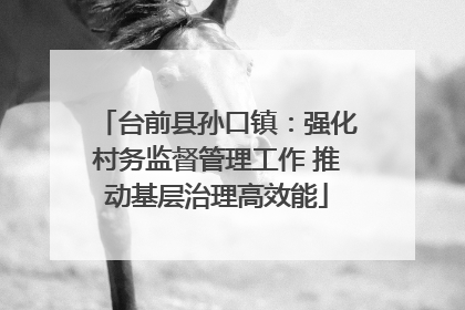 台前县孙口镇：强化村务监督管理工作 推动基层治理高效能