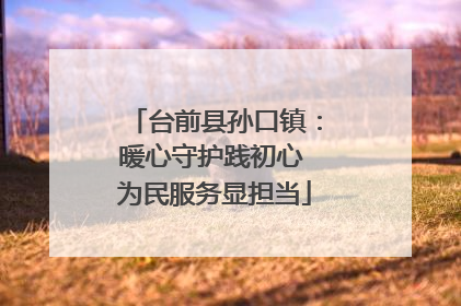 台前县孙口镇：暖心守护践初心 为民服务显担当