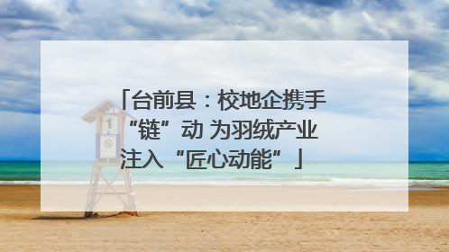 台前县：校地企携手“链”动 为羽绒产业注入“匠心动能”