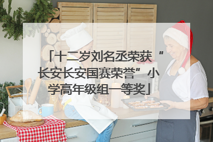 十二岁刘名丞荣获“长安长安国赛荣誉”小学高年级组一等奖
