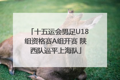 十五运会男足U18组资格赛A组开赛 陕西队逼平上海队