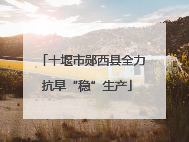 十堰市郧西县全力抗旱“稳”生产