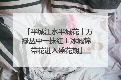 半城江水半城花丨万绿丛中一抹红！冰城锦带花进入盛花期