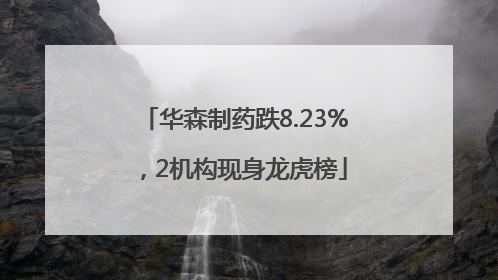 华森制药跌8.23%，2机构现身龙虎榜