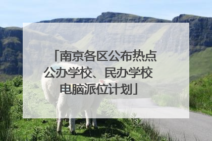 南京各区公布热点公办学校、民办学校电脑派位计划