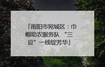 南阳市宛城区：巾帼助农服务队 “三夏”一线绽芳华