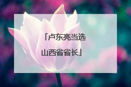 卢东亮当选山西省省长