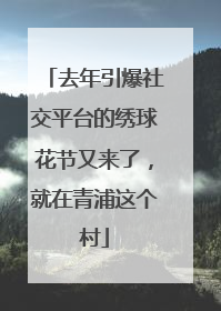 去年引爆社交平台的绣球花节又来了，就在青浦这个村