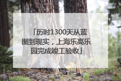 历时1300天从蓝图到现实，上海乐高乐园完成竣工验收