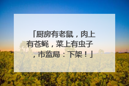 厨房有老鼠，肉上有苍蝇，菜上有虫子，市监局：下架！
