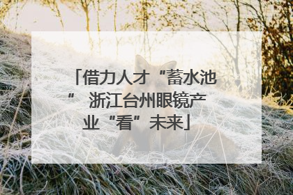 借力人才“蓄水池” 浙江台州眼镜产业“看”未来
