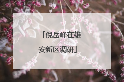 倪岳峰在雄安新区调研