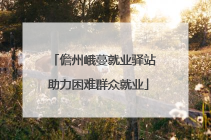 儋州峨蔓就业驿站助力困难群众就业