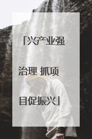 兴产业强治理 抓项目促振兴