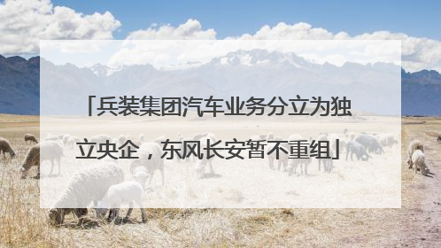 兵装集团汽车业务分立为独立央企，东风长安暂不重组