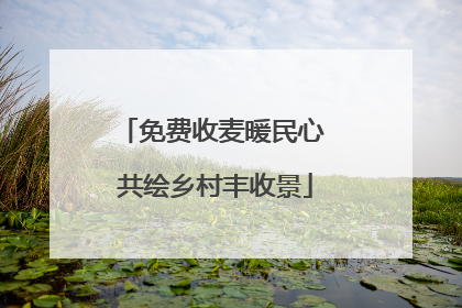 免费收麦暖民心 共绘乡村丰收景