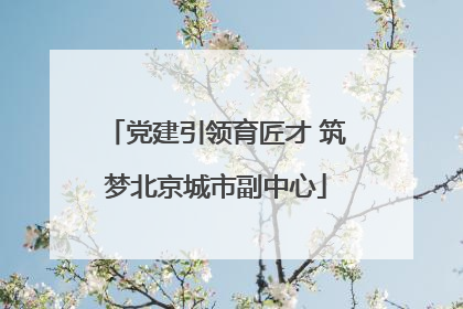党建引领育匠才 筑梦北京城市副中心