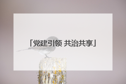 党建引领 共治共享
