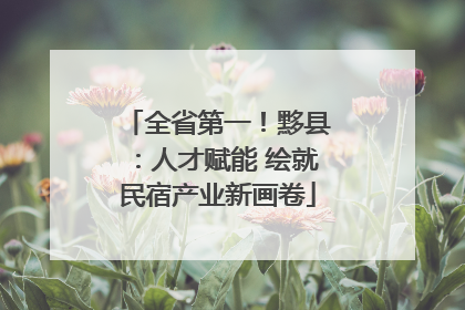全省第一！黟县：人才赋能 绘就民宿产业新画卷