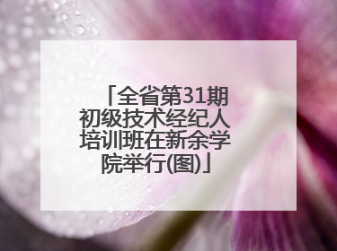 全省第31期初级技术经纪人培训班在新余学院举行(图)