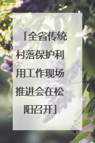 全省传统村落保护利用工作现场推进会在松阳召开