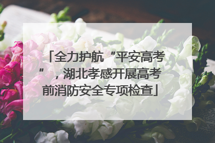 全力护航“平安高考”，湖北孝感开展高考前消防安全专项检查