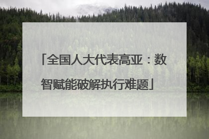 全国人大代表高亚：数智赋能破解执行难题